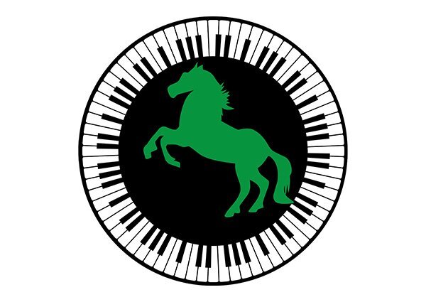 AHS Piano Recital- Beginners image