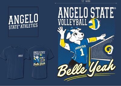 2026 Limited Edition Volleyball Shirt image - click to enlarge
