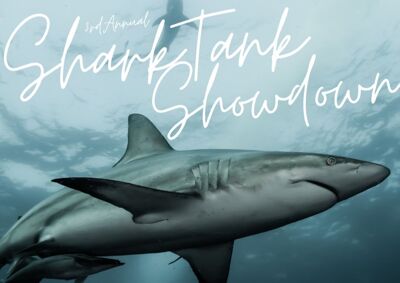 3rd Annual Shark Tank Showdown image - click to enlarge