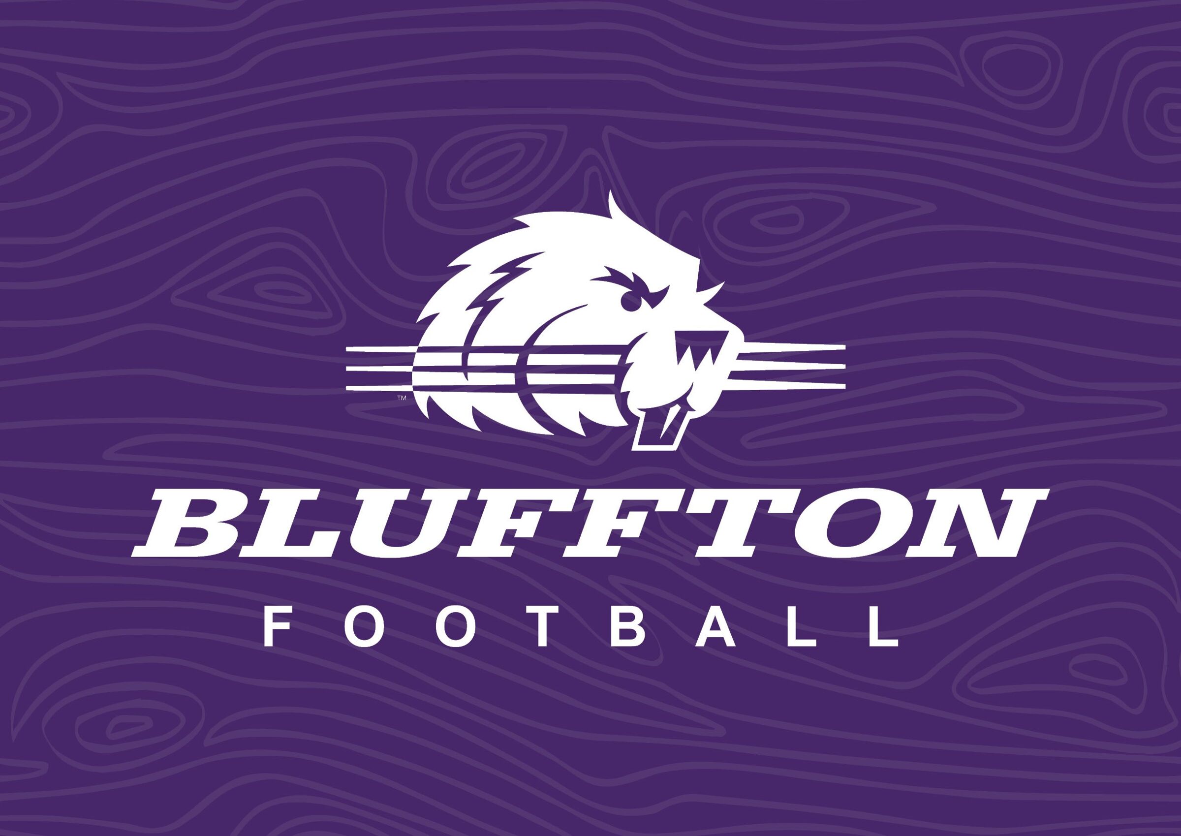 Bluffton University Football vs Anderson image
