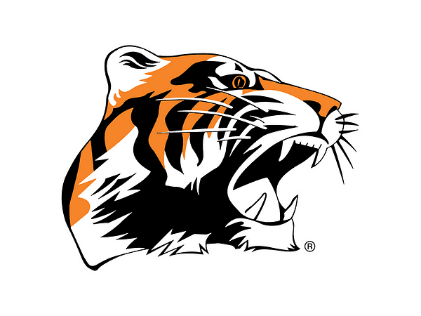 Chagrin Falls Exempted Village Schools logo