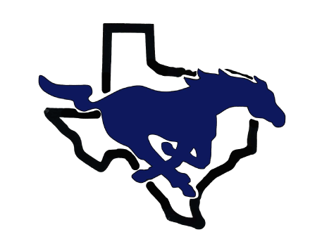 CITY VIEW ISD logo