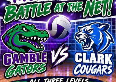 Volleyball vs Clark image - click to enlarge
