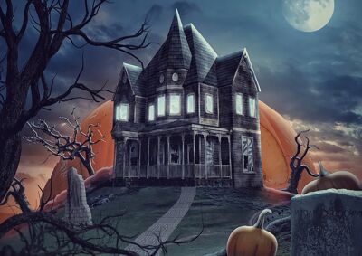 Blue Hawk Haunted House image - click to enlarge