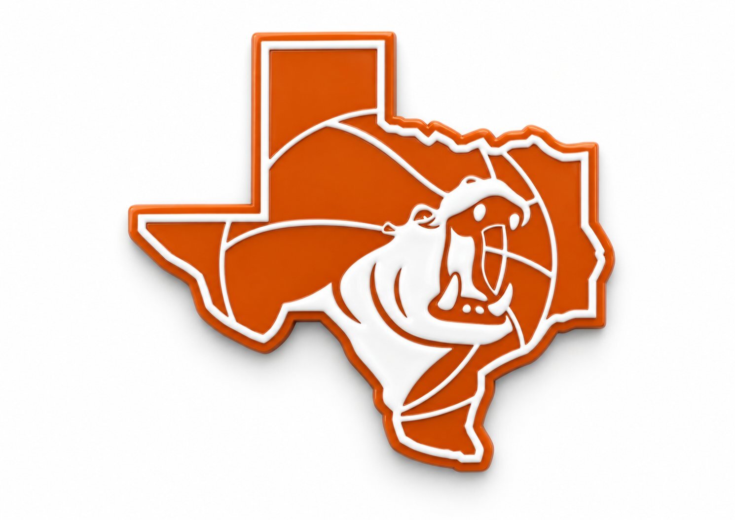 Hutto Basketball vs Akins image