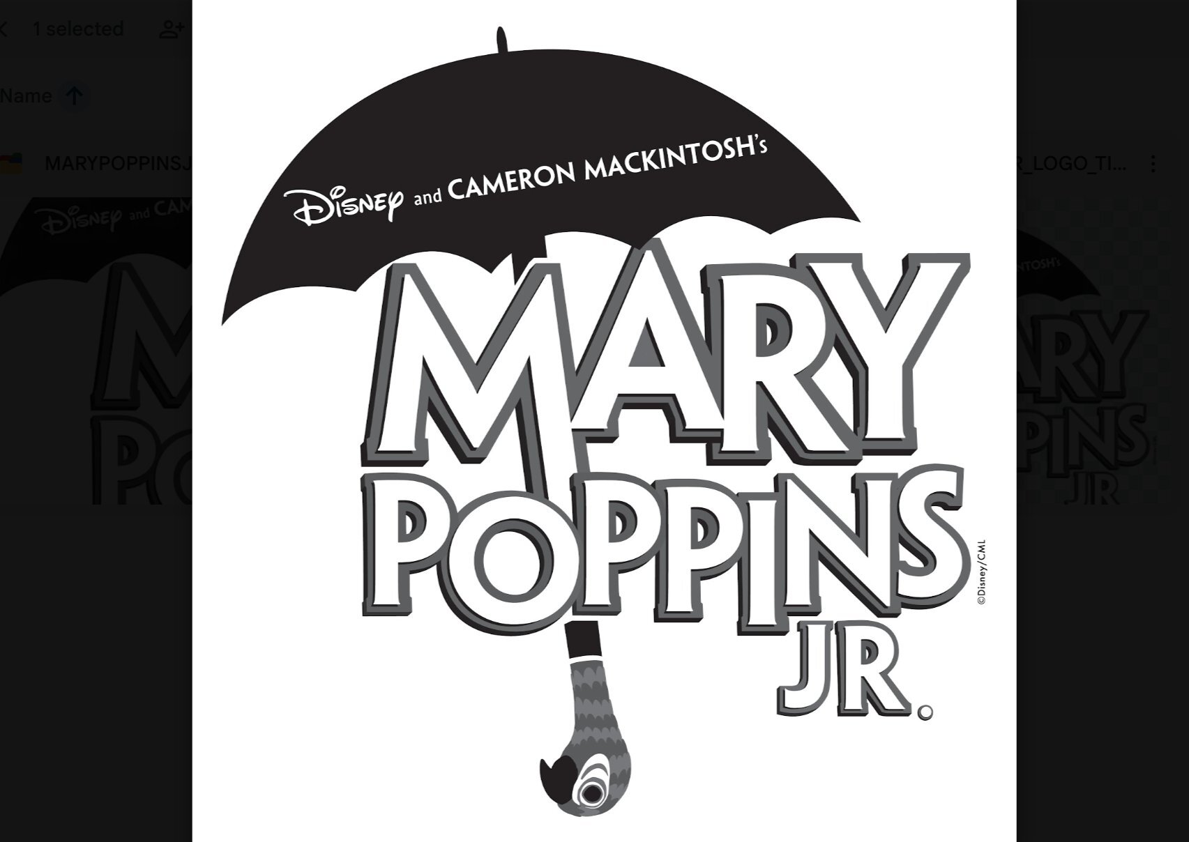 Mary Poppins JR - Friday image
