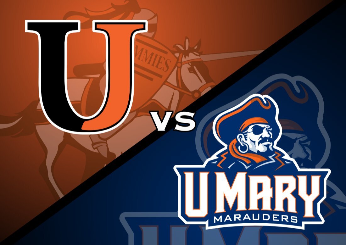 Men's D1 Hockey vs University of Mary image