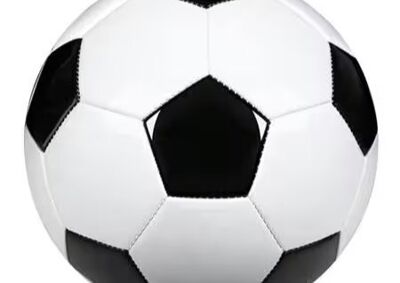 LCA Varsity Soccer vs Genoa Christian Academy image - click to enlarge