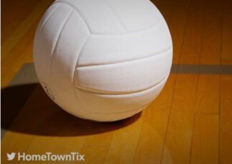 Volleyball vs Eastlake HS image
