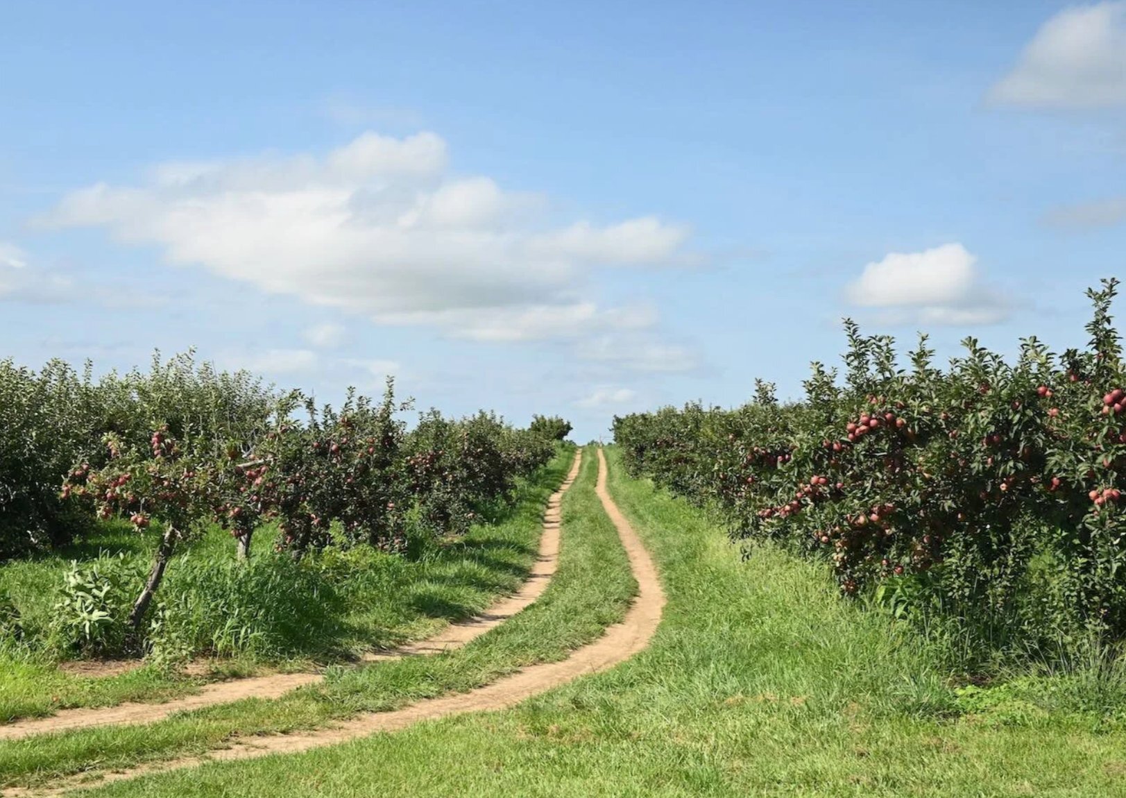 Outing Club: Trip to Greig Farm image