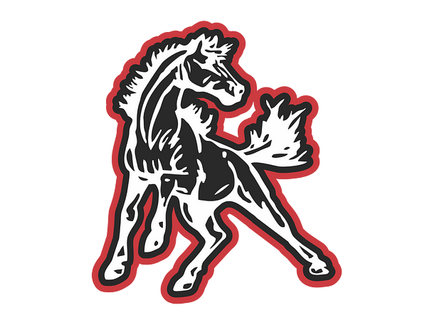 MCDONALD COUNTY HIGH logo