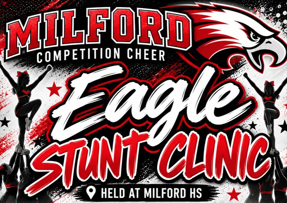 Eagle Stunt Clinic image