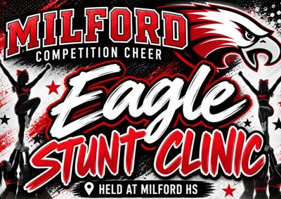 Milford Eagle Stunt Clinic image - click to enlarge