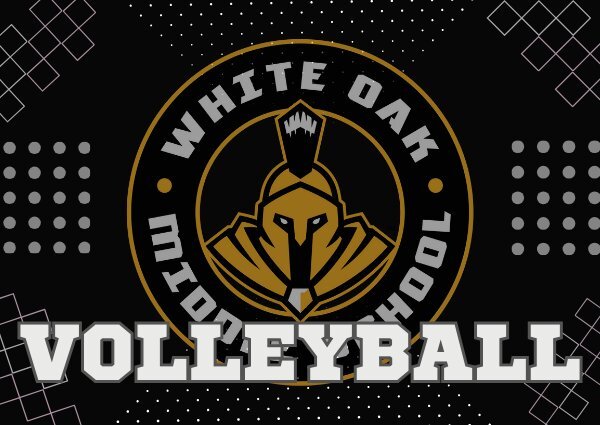 White Oak v. Cleveland MS Volleyball image