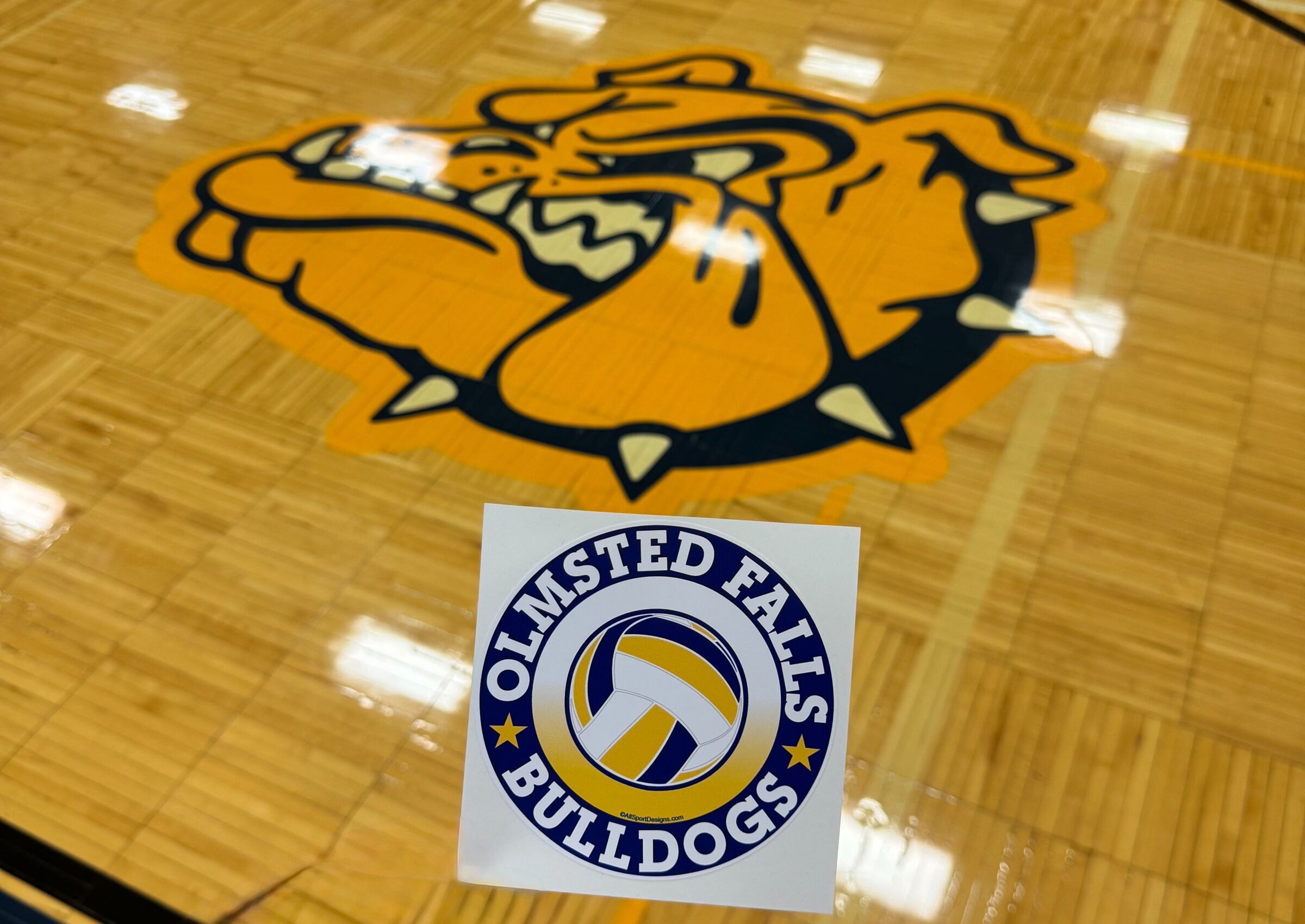 7th & 8th Grade Gold Volleyball vs. Elyria NW image