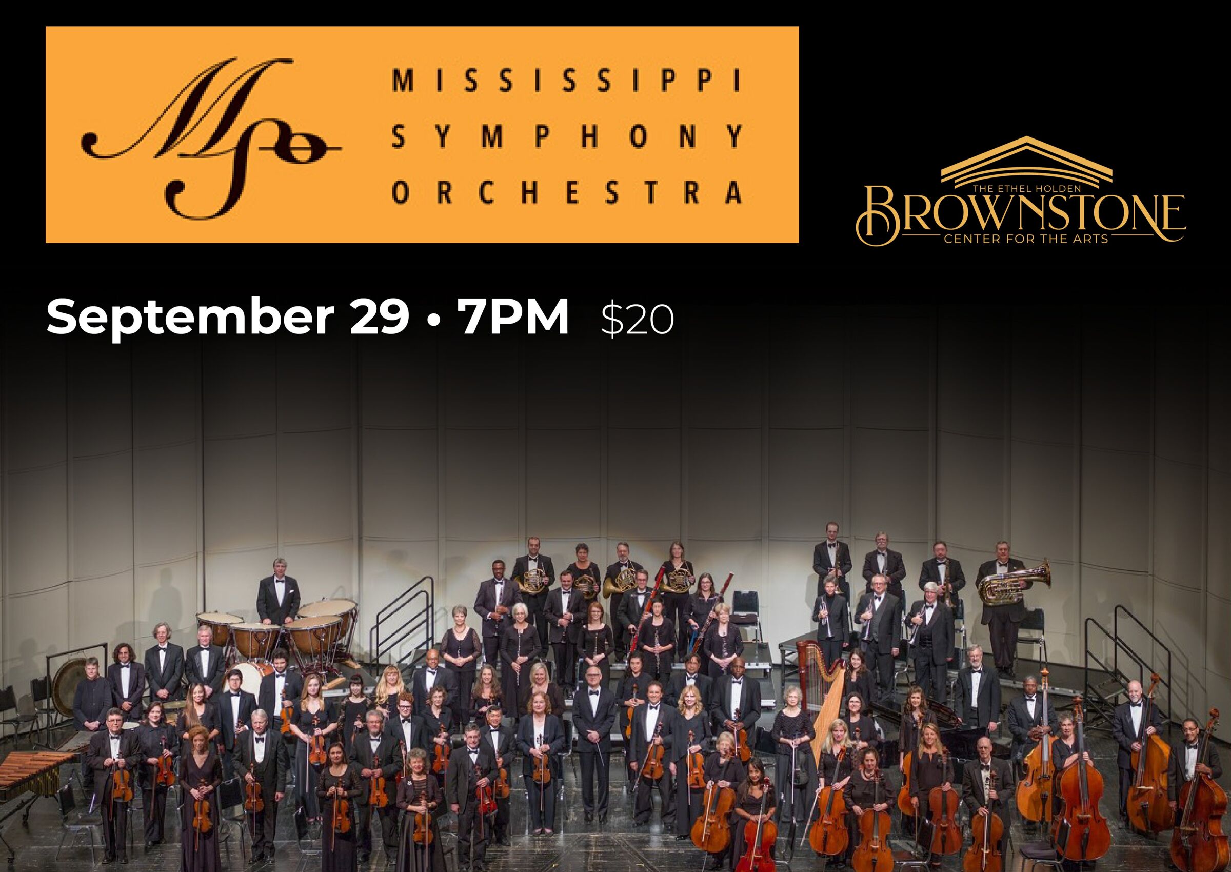 Mississippi Symphony Orchestra image