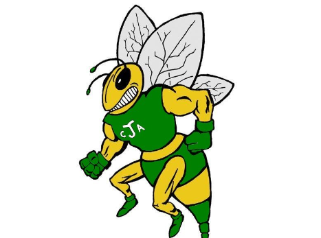 C. A. Johnson High logo