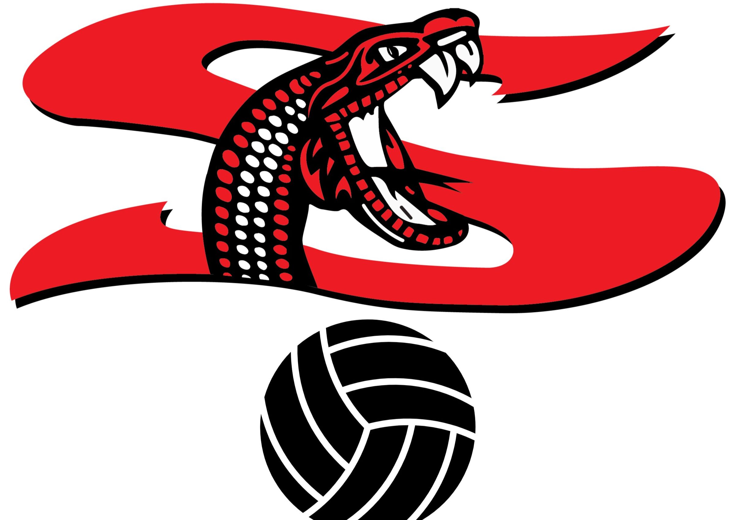 SHS Volleyball vs Palmview HS image