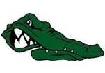 Fall Season ALL Sports Pass (Individual) image - click to enlarge