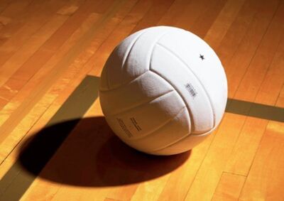 Middle School Volleyball vs. Cedar Creek MS image - click to enlarge