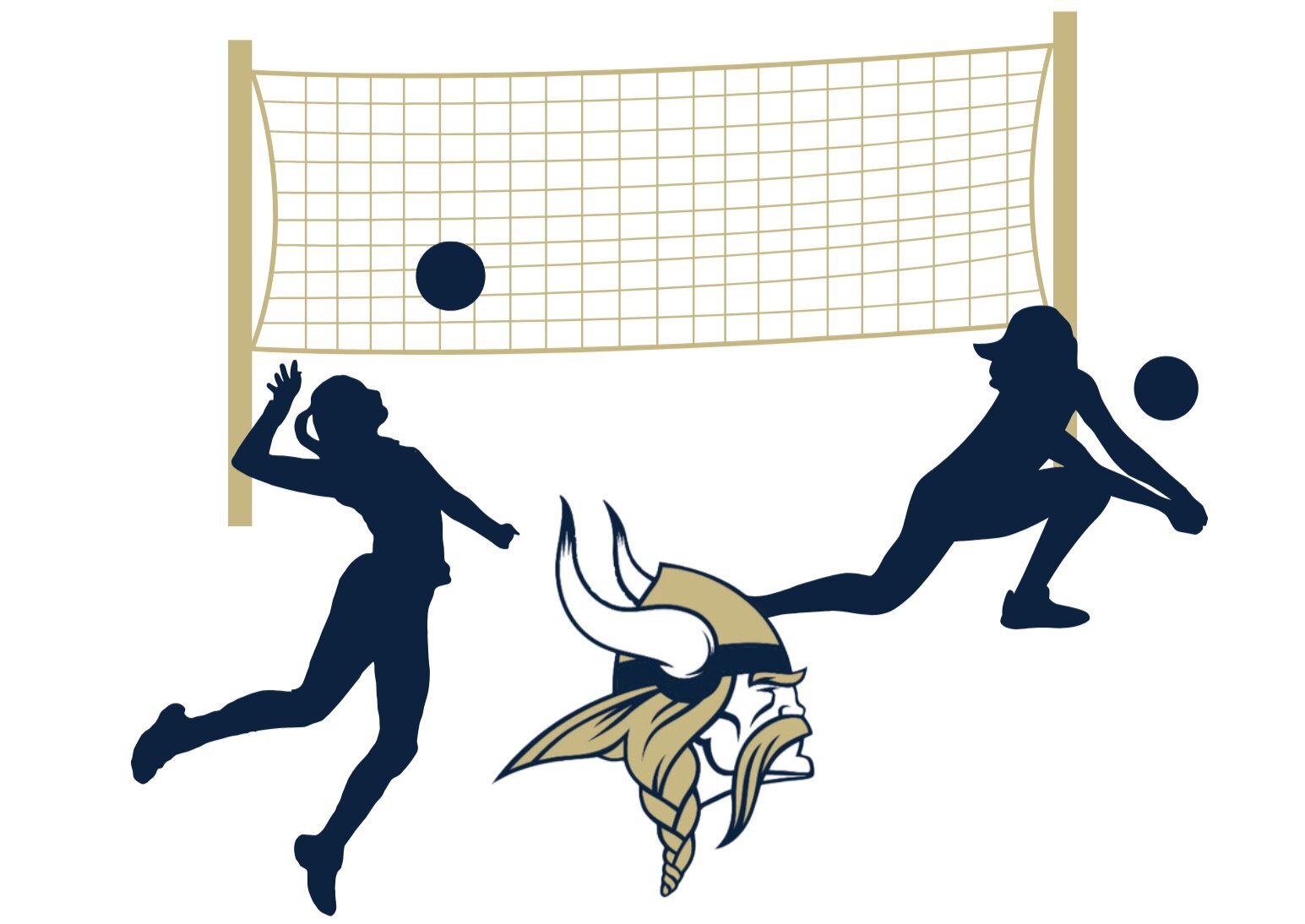 TVEMS Volleyball vs. Lakeview image